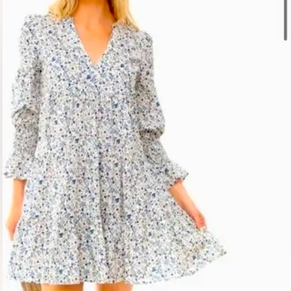 Tuckernuck Fleur Kenzo Tiered Mini Dress